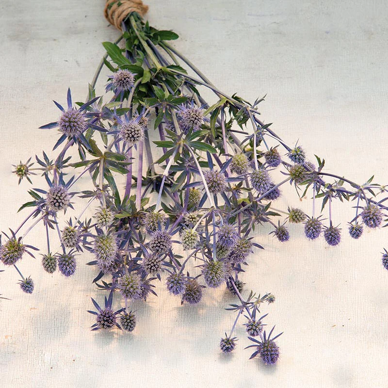 Miniatuur 2