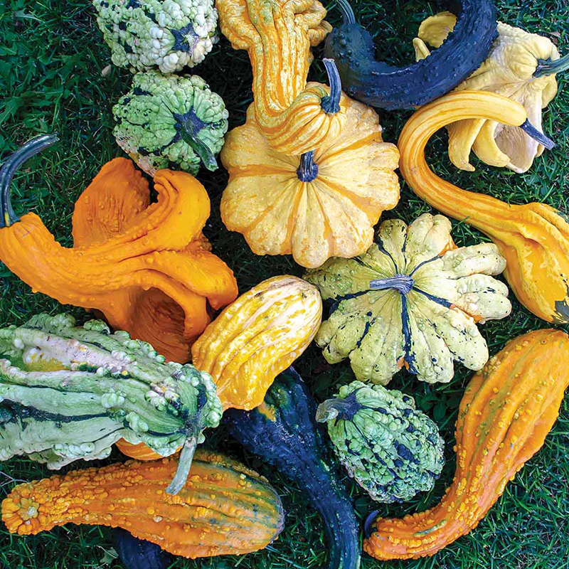 Miniatuur 1
