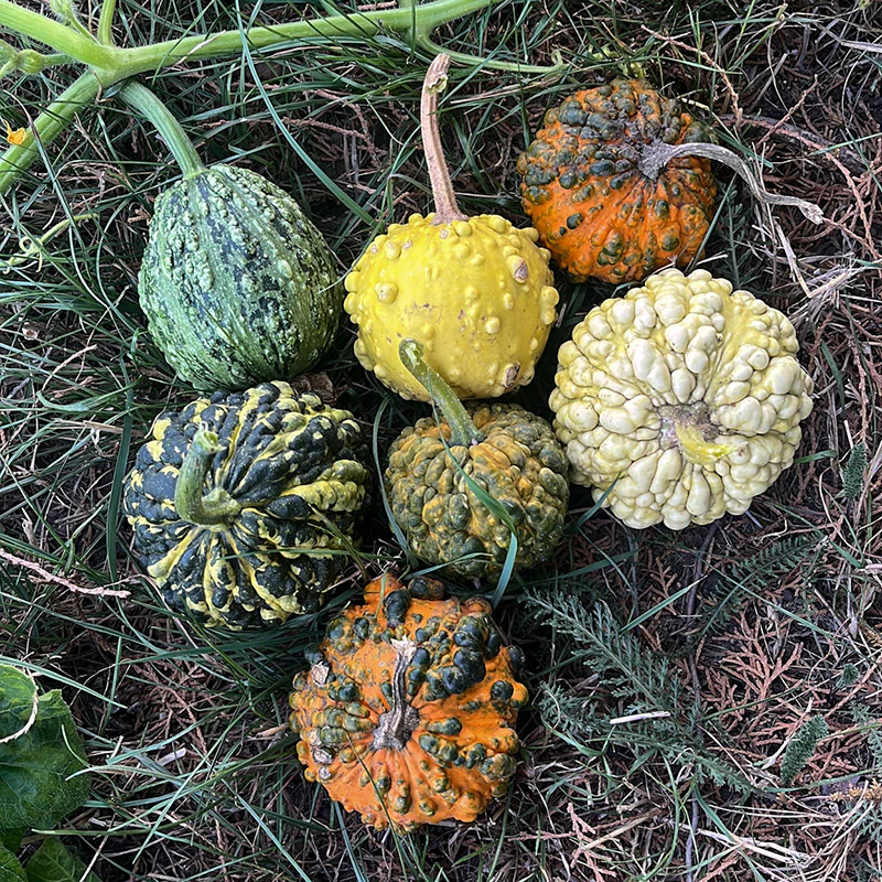 Miniatuur 1